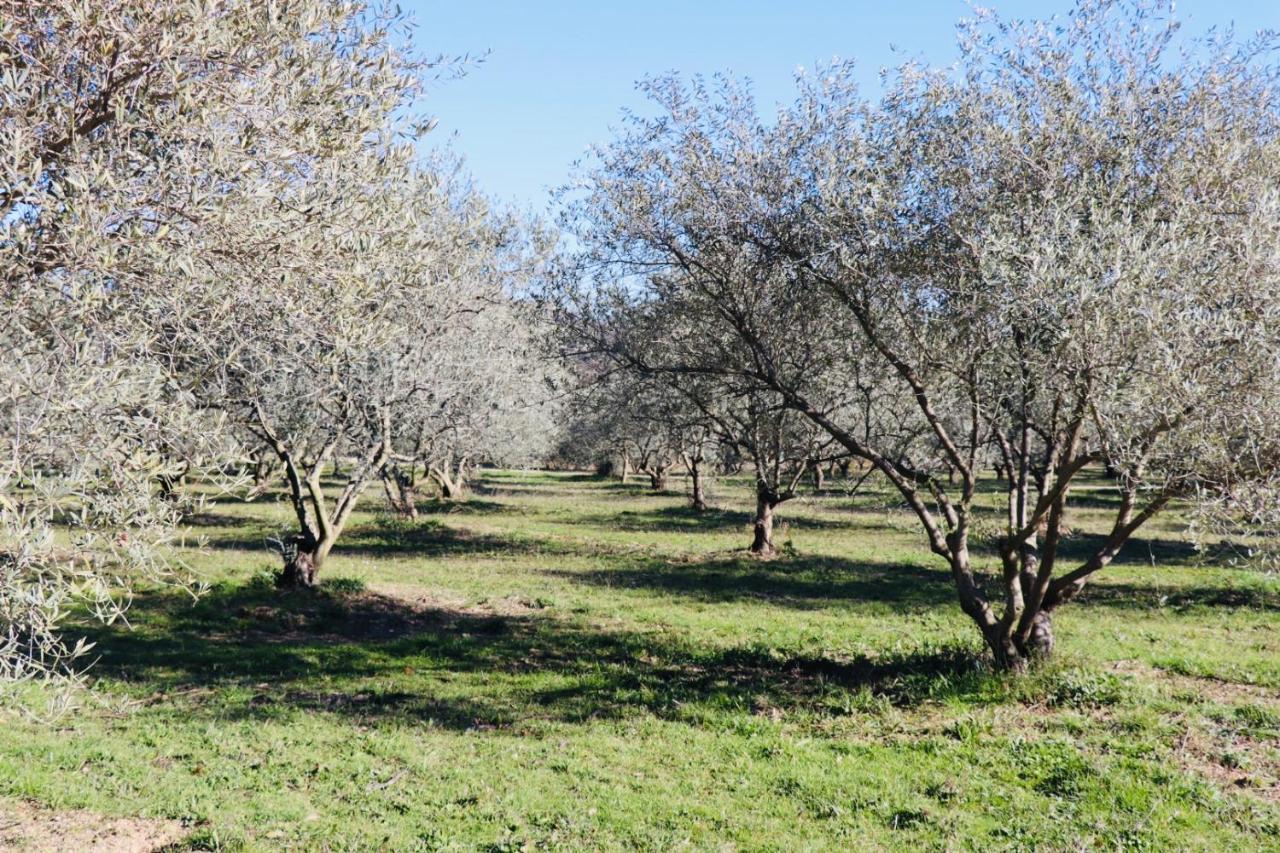 Terre Luberon Hotel Pertuis Buitenkant foto